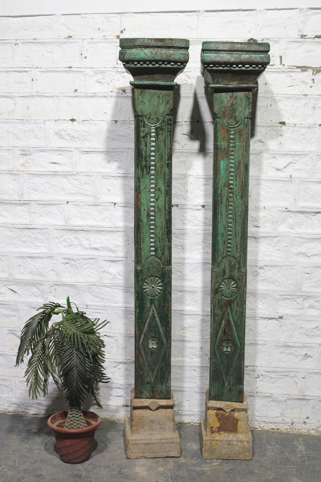 WhatsApp Image 2025-03-09 at 1.13.20 PM