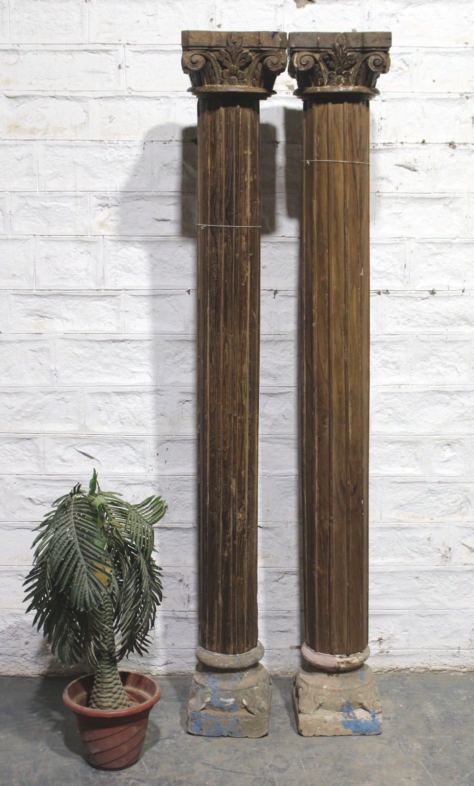 WhatsApp Image 2025-03-09 at 1.13.22 PM (1)