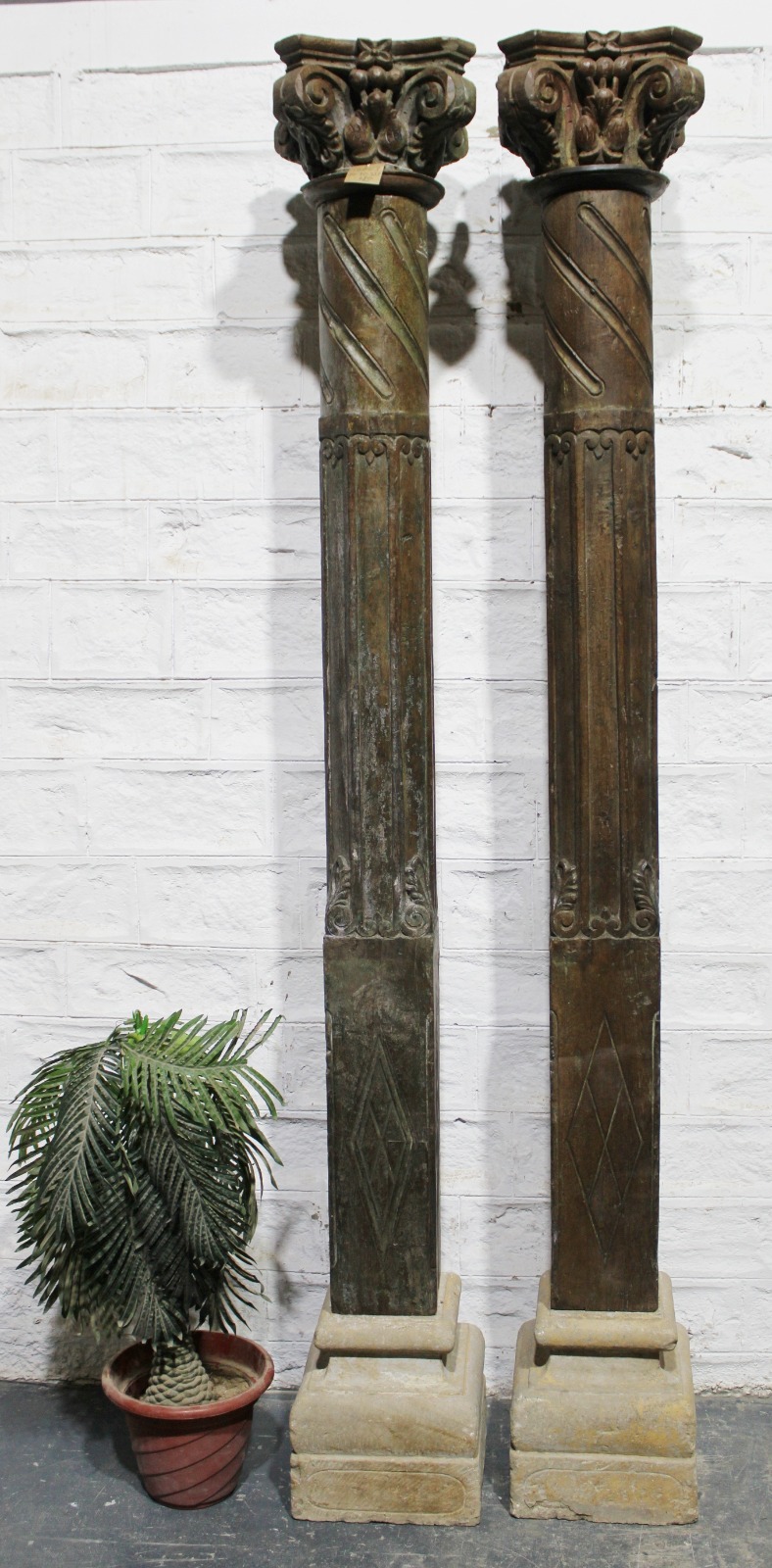 WhatsApp Image 2025-03-09 at 1.14.22 PM