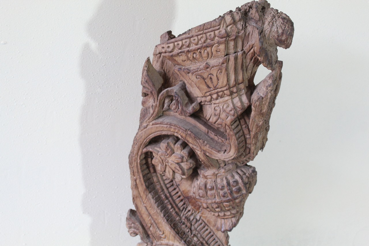 WhatsApp Image 2025-03-12 at 3.00.56 PM (18)